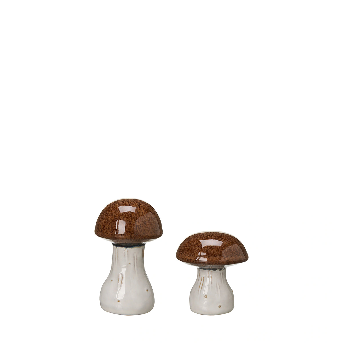 Svampar 2-set